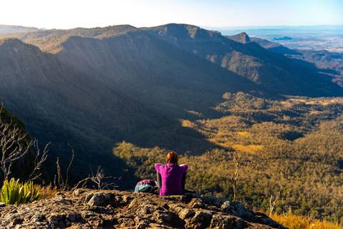Hike Queensland's Scenic Rim Trail - Fall Tours