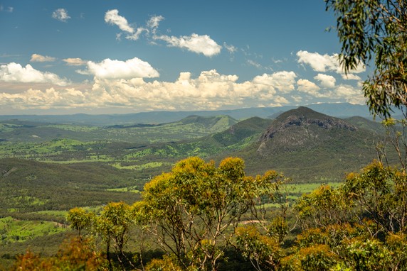 Image 5 of 11