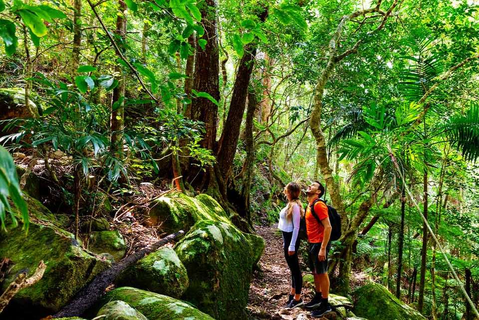 Hike Queensland's Scenic Rim Trail - Intrepid Travel - Australia - Image 8