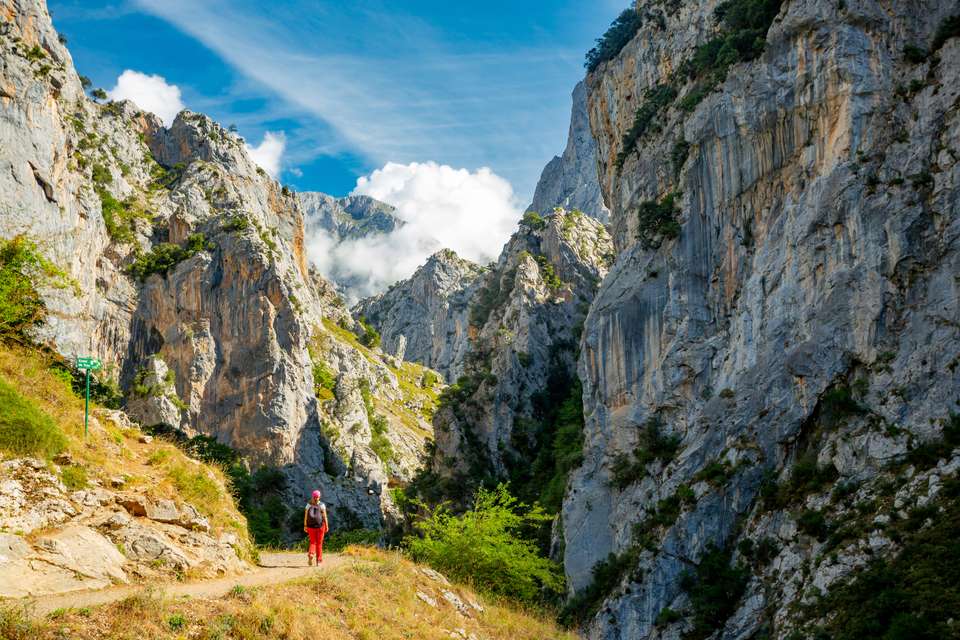Hike Spain’s Picos de Europa - Exodus Adventure Travels - Spain - Image 13