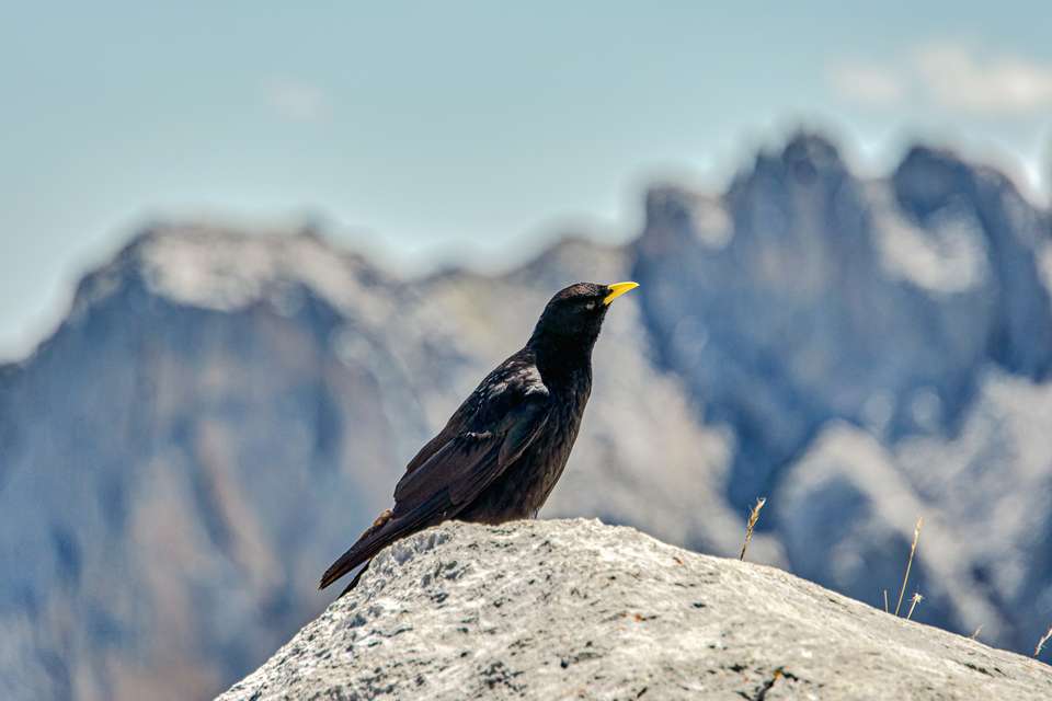 Hike Spain’s Picos de Europa - Exodus Adventure Travels - Spain - Image 12