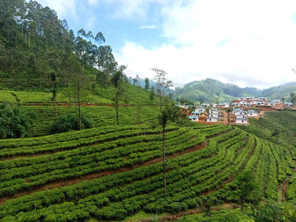 Hike Sri Lanka’s Pekoe Trail - Exodus Adventure Travels - Sri Lanka - Image 12