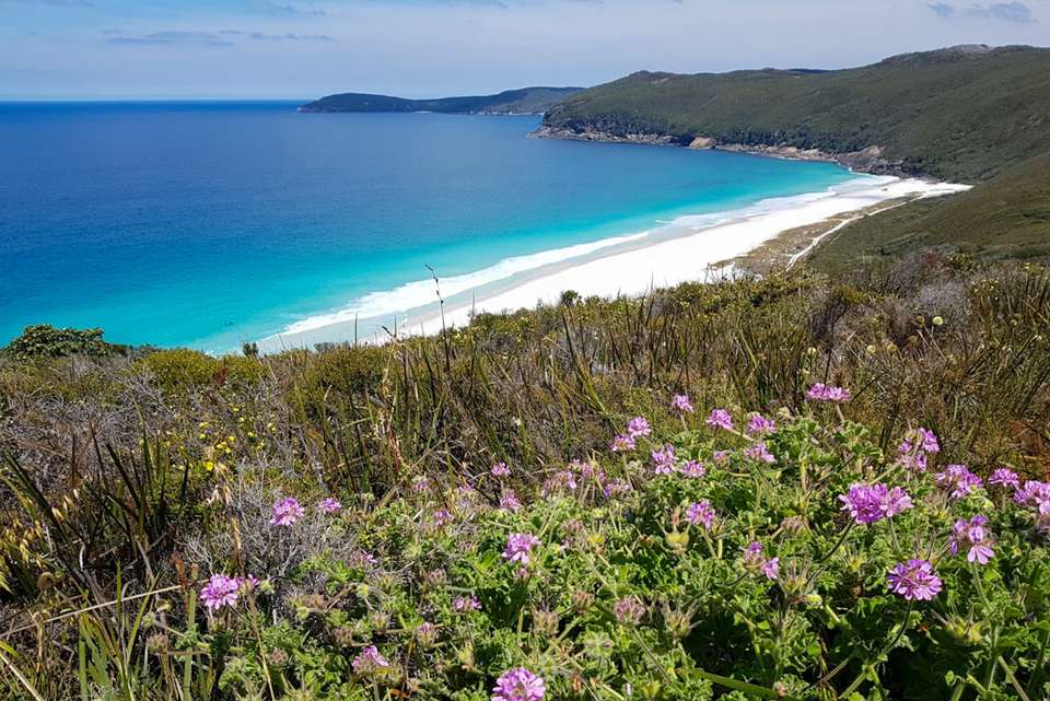Hike the Bibbulmun Track: Albany to Denmark - Intrepid Travel - Australia - Image 3