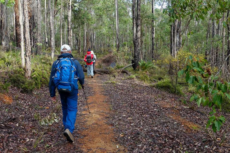 Hike the Bibbulmun Track: Collie to Balingup - undefined - Image 2