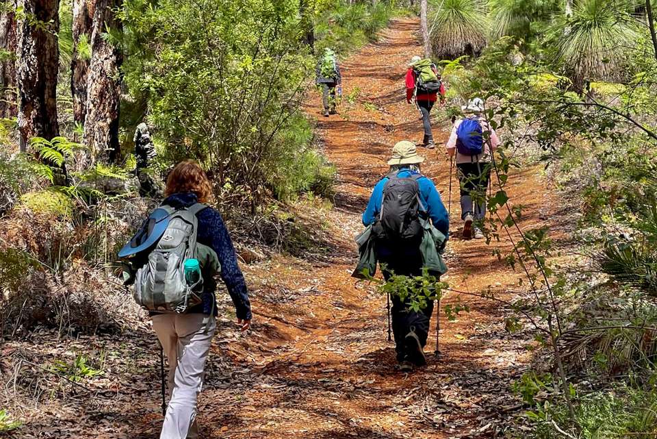 Hike the Bibbulmun Track: Collie to Balingup - undefined - Image 6