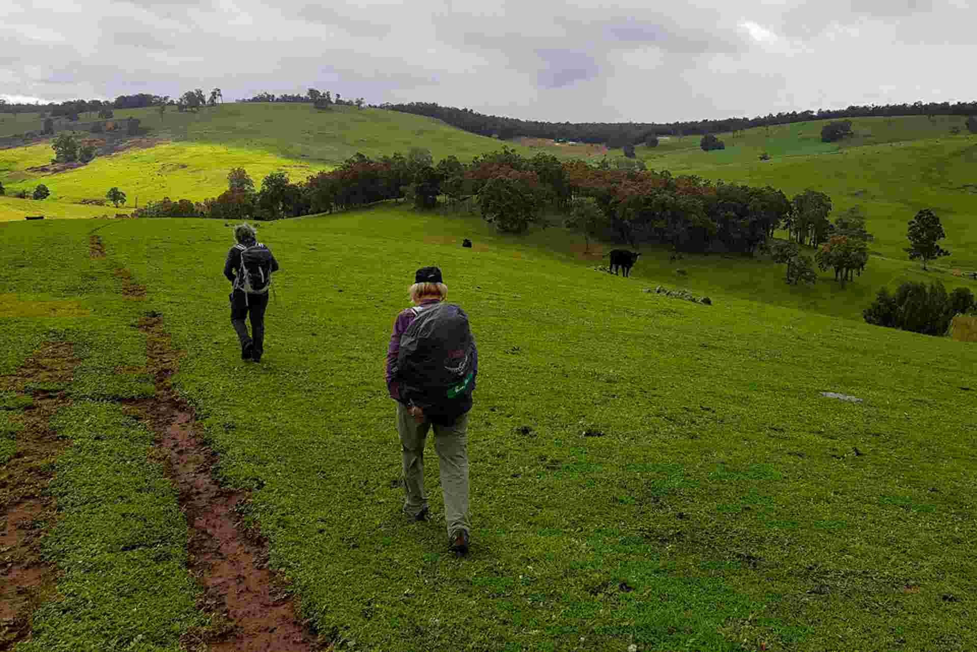 Hike the Bibbulmun Track: Donnelly River to Balingup