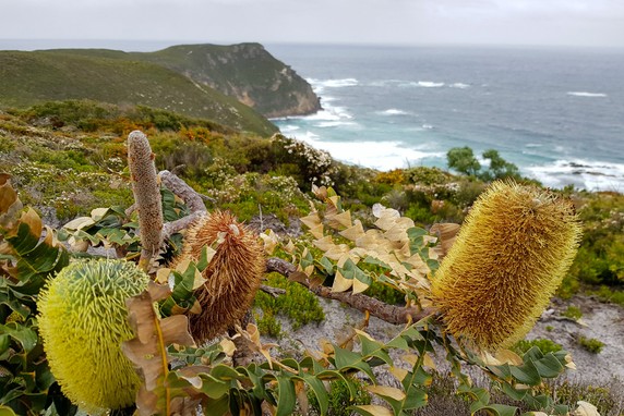Image 2 of 10