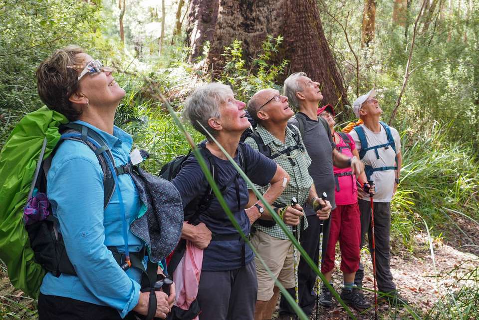 Hike the Bibbulmun Track: Walpole to Denmark - Intrepid Travel - Australia - Image 3