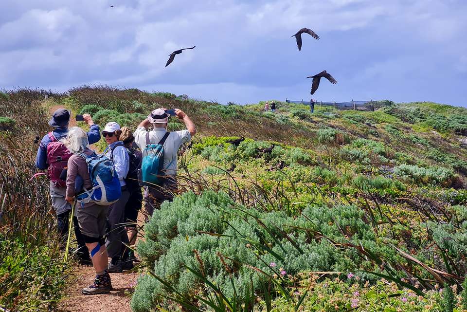 Hike the Bibbulmun Track: Walpole to Denmark - Intrepid Travel - Australia - Image 4