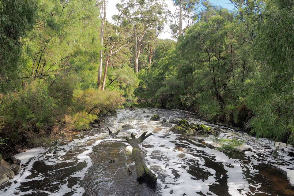 Hike the Bibbulmun Track: Walpole to Denmark - Intrepid Travel - Australia - Image 6
