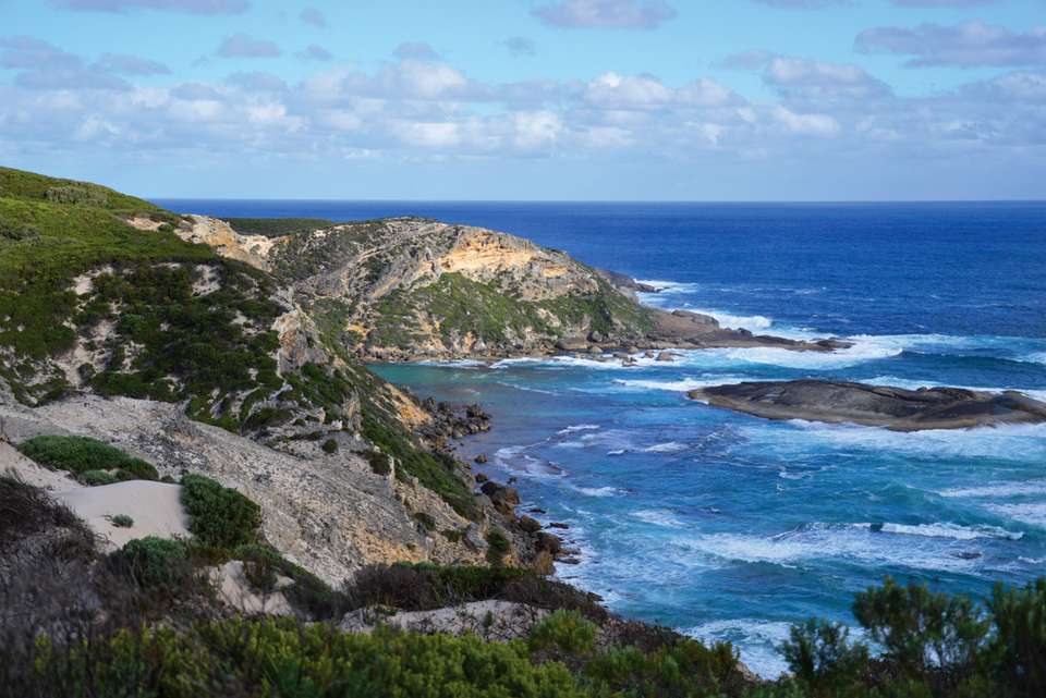 Hike the Bibbulmun Track: Walpole to Denmark - Intrepid Travel - Australia - Image 8