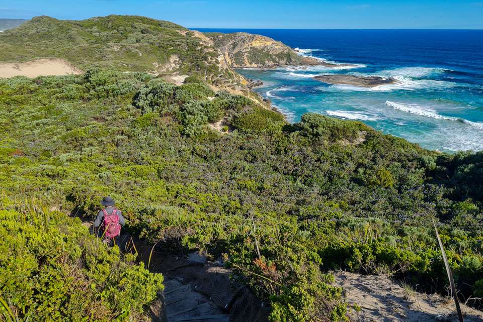 Hike the Bibbulmun Track: Walpole to Denmark - Intrepid Travel - Australia - Image 9