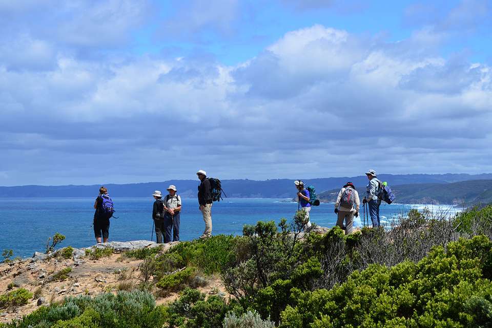 Hike the Great Ocean Walk - undefined - Image 3