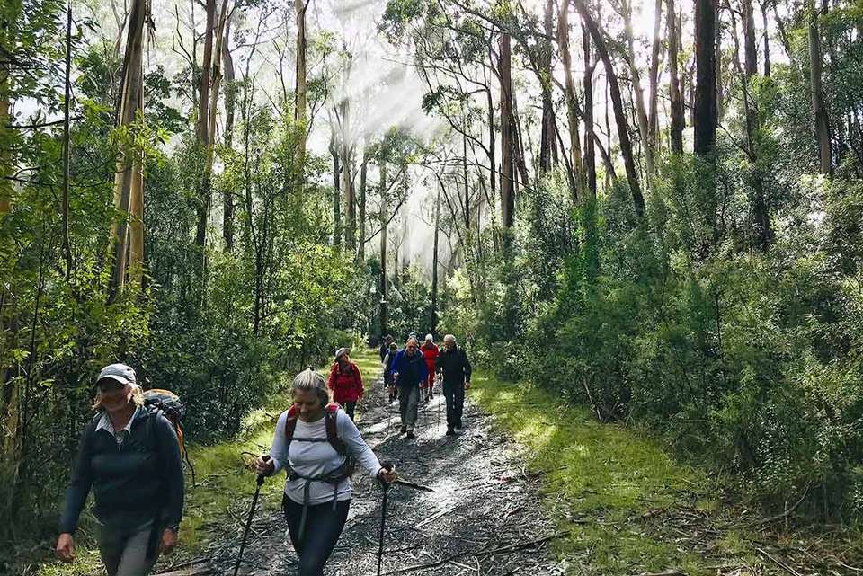 Hike the Great Ocean Walk - undefined - Image 6
