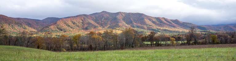 Hike the Great Smoky Mountains: Fall Foliage trip - alternative tour available