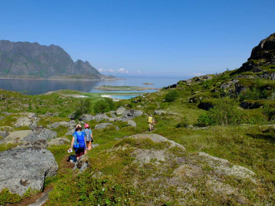 Hike the Lofoten and Vesterålen Islands - undefined - Image 12