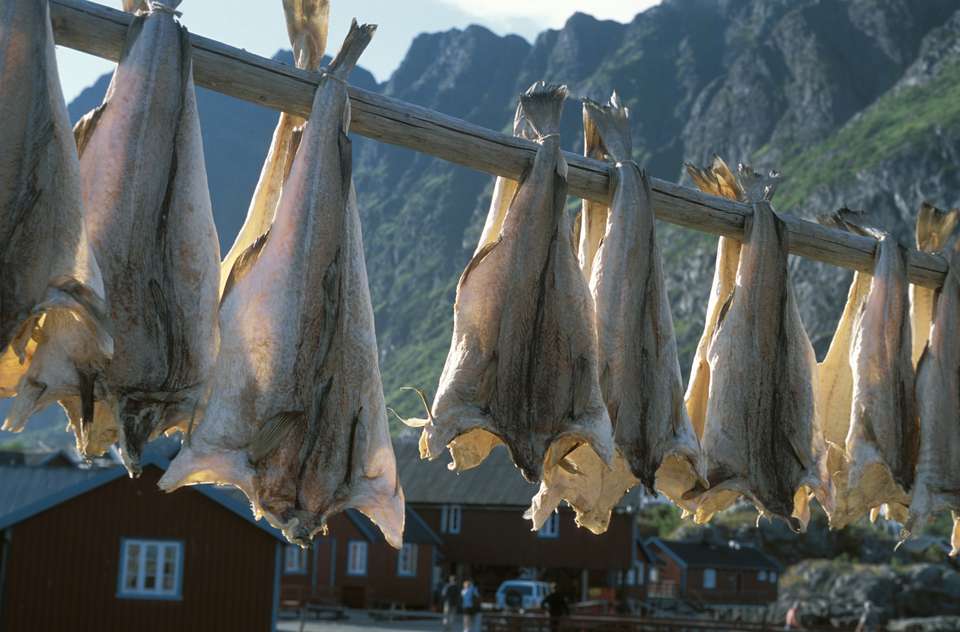 Hike the Lofoten and Vesterålen Islands - undefined - Image 10