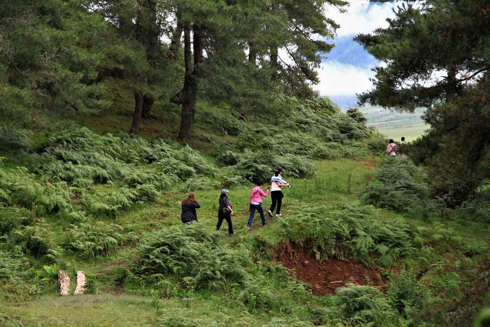 Hike the Trans Bhutan Trail - Intrepid Travel - Bhutan - Image 5