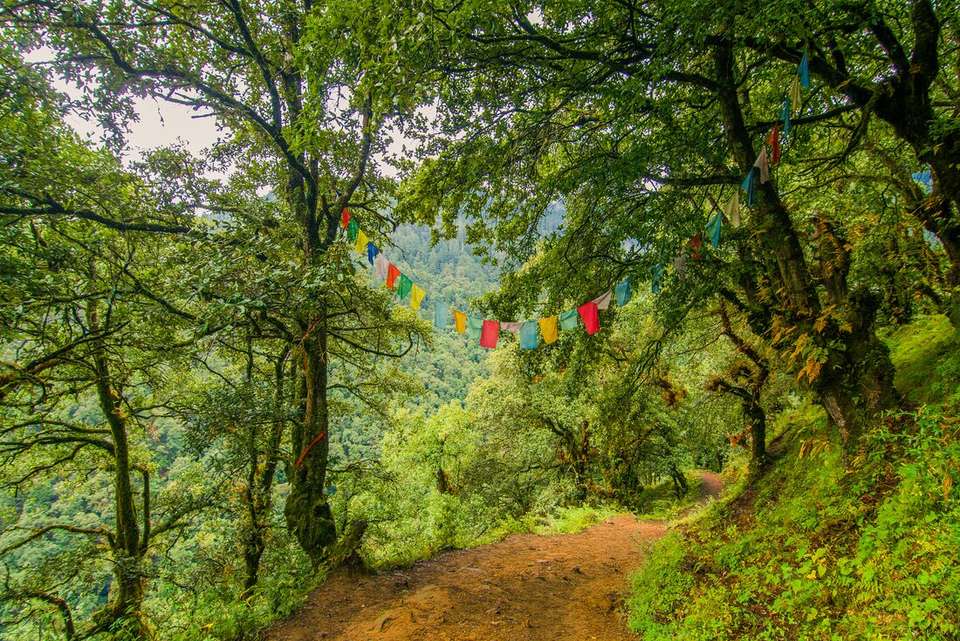 Hike the Trans Bhutan Trail - Intrepid Travel - Bhutan - Image 7