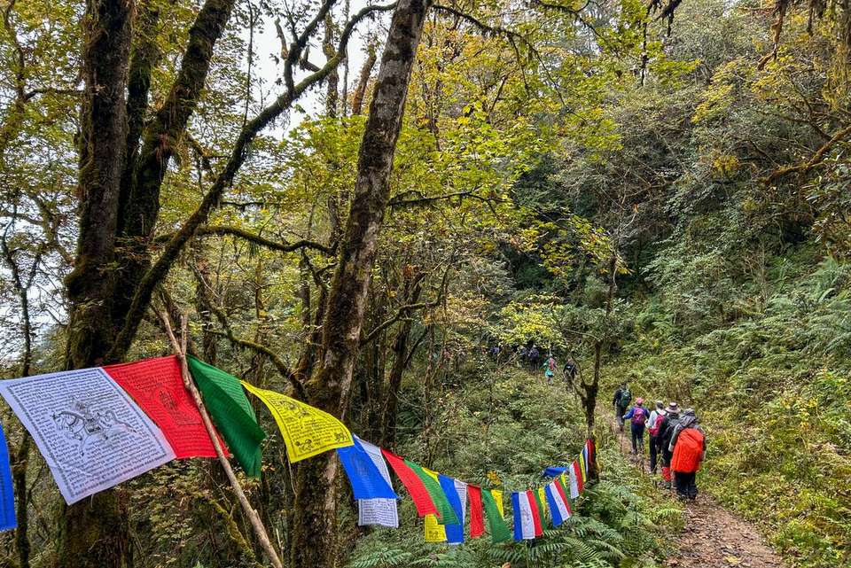 Hike the Trans Bhutan Trail - Intrepid Travel - Bhutan - Image 9