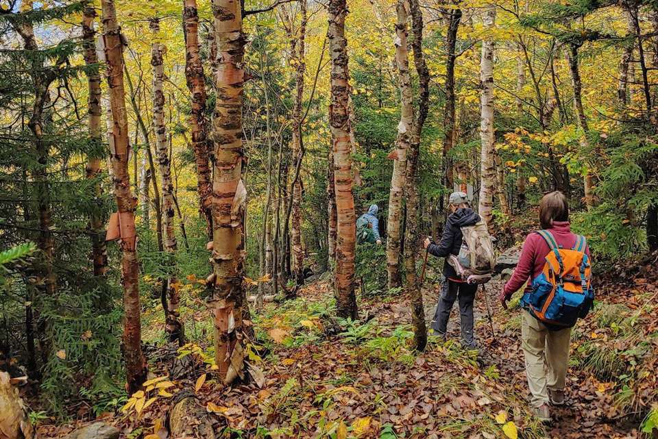 Hike Vermont: Fall Foliage - undefined - Image 4