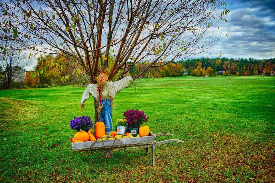 Hike Vermont: Fall Foliage - undefined - Image 6