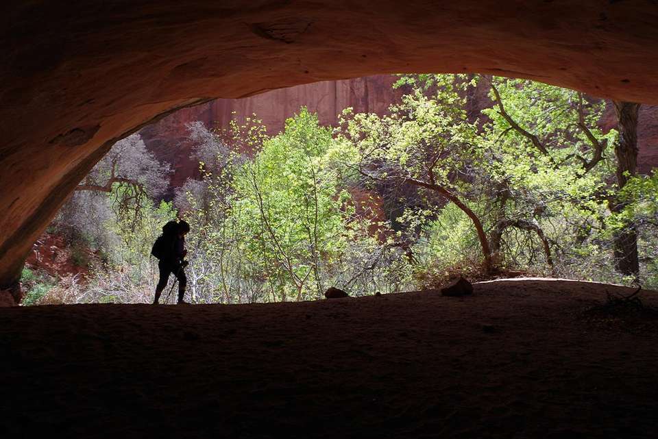 Hiking and Backpacking Utah's Coyote Gulch - undefined - Image 3