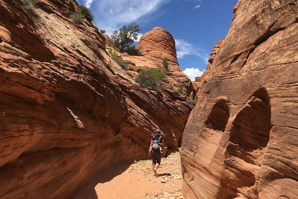 Hiking and Backpacking Utah's Coyote Gulch - undefined - Image 5
