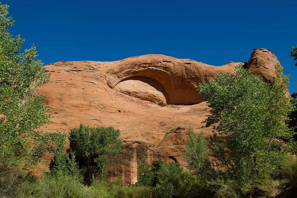 Hiking and Backpacking Utah's Coyote Gulch - undefined - Image 6