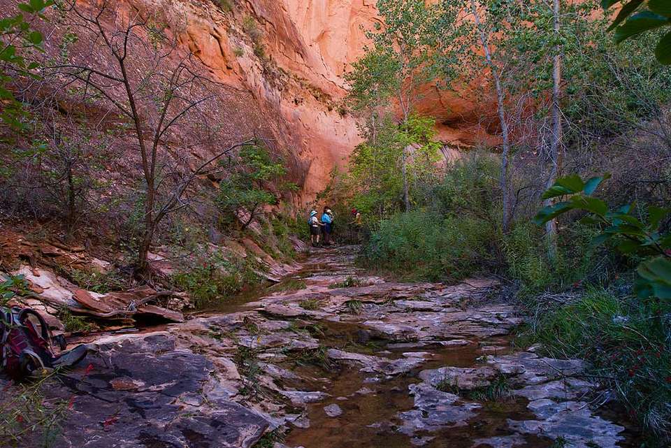 Hiking and Backpacking Utah's Coyote Gulch - undefined - Image 7
