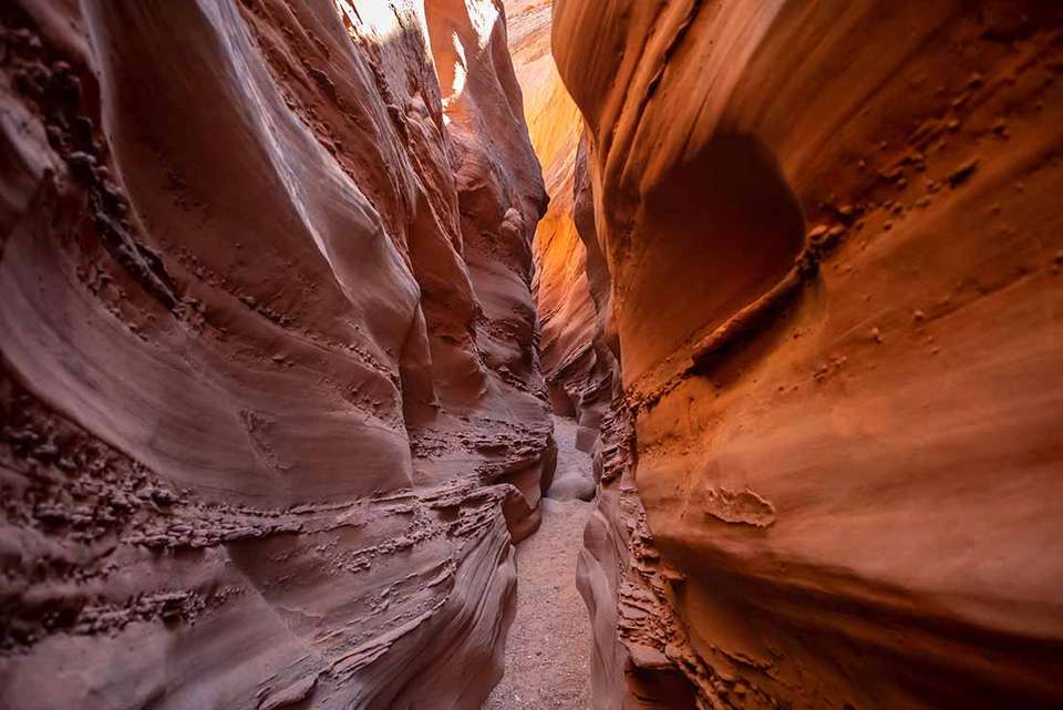 Hiking and Camping in Utah - Intrepid Travel - USA - Image 2