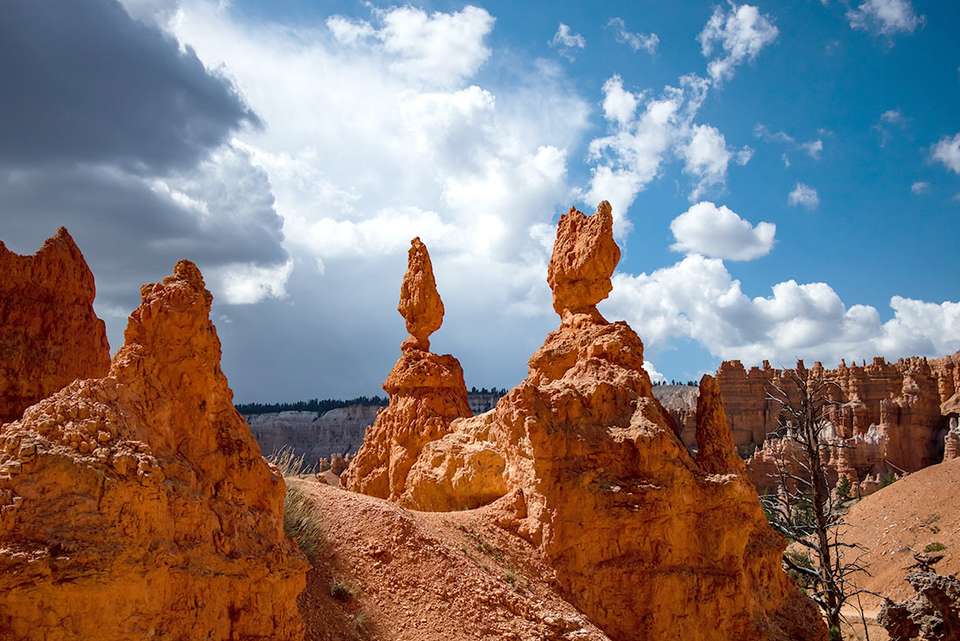 Hiking and Camping in Utah - Intrepid Travel - USA - Image 3
