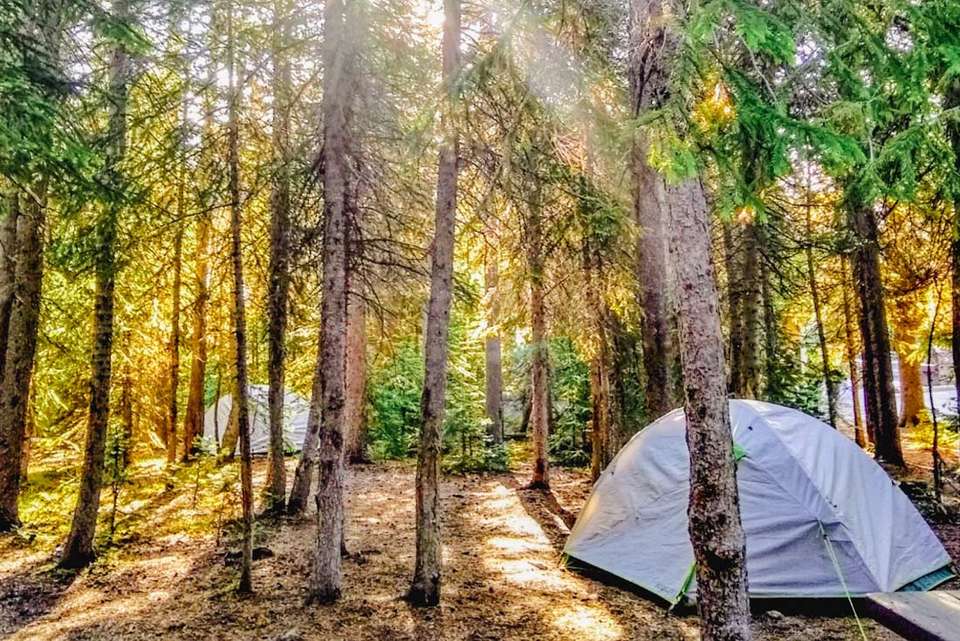 Hiking and Camping in Yellowstone - Intrepid Travel - USA - Image 4