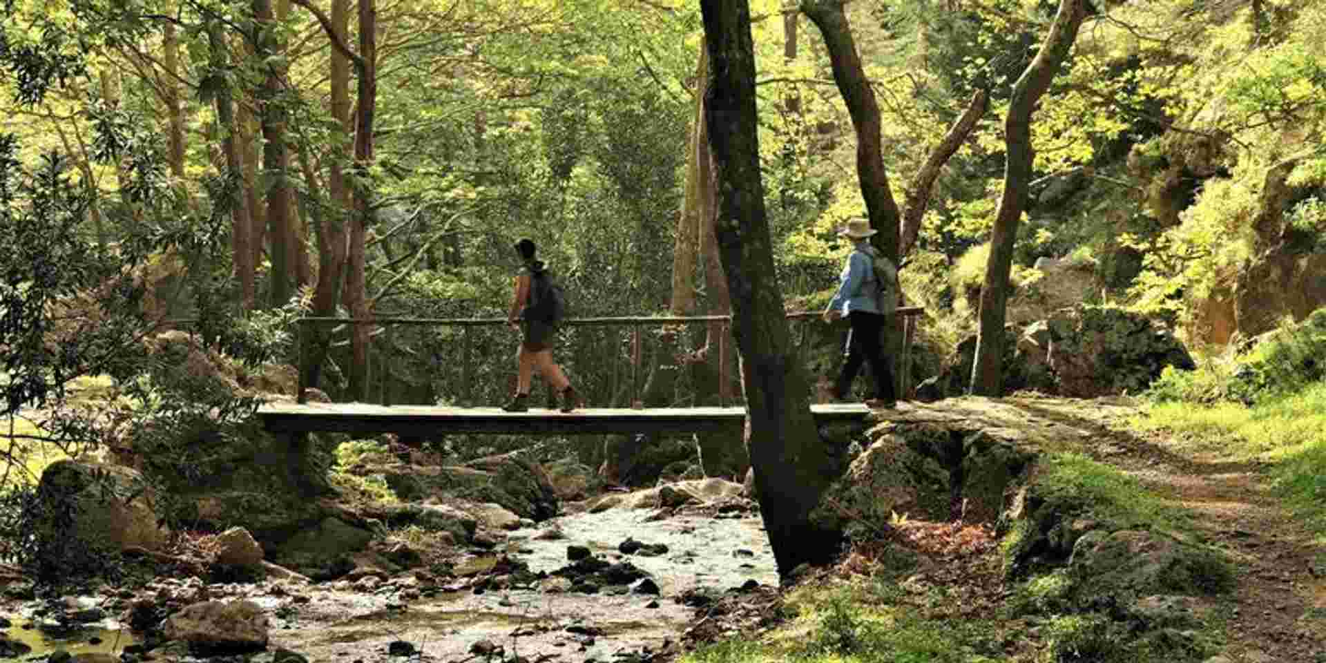Hiking Crete: Gorges & Coastal Walks