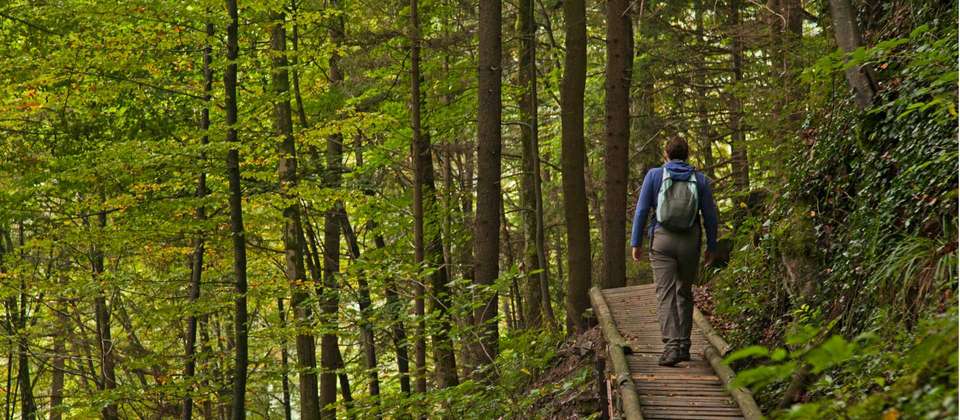 Hiking in Bavaria - Utracks - Germany - Image 9