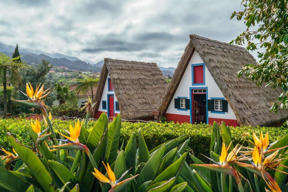 Hiking in Madeira - Intrepid Travel - Portugal - Image 6