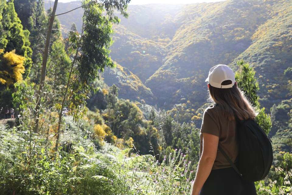 Hiking in Madeira - Intrepid Travel - Portugal - Image 13