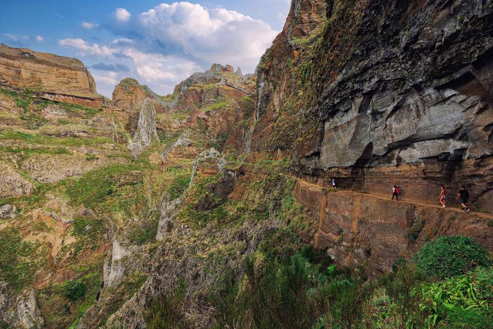 Hiking in Madeira - Intrepid Travel - Portugal - Image 14
