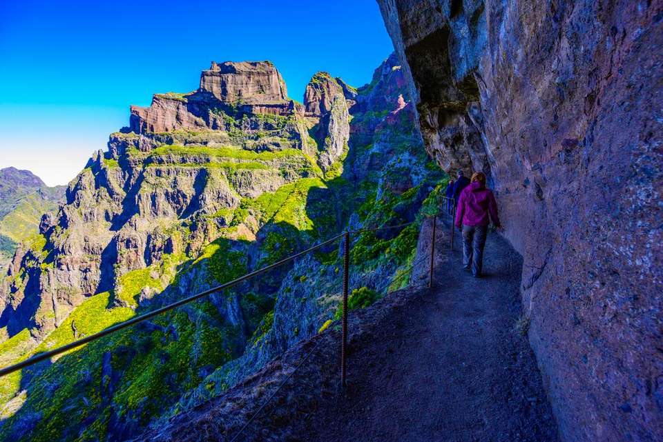 Hiking in Madeira - Intrepid Travel - Portugal - Image 15