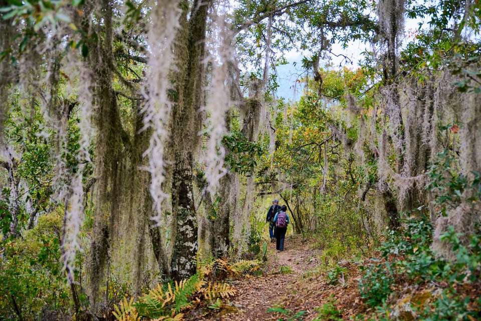 Hiking in Mexico: Oaxaca’s Indigenous Highlands - Intrepid Travel - Mexico - Image 1