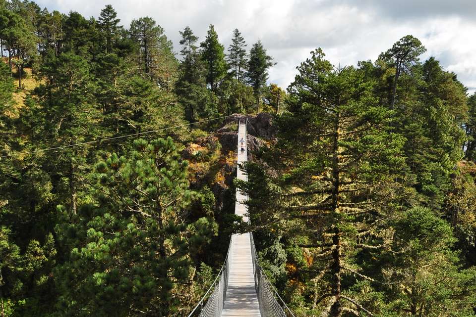 Hiking in Mexico: Oaxaca’s Indigenous Highlands - Intrepid Travel - Mexico - Image 15