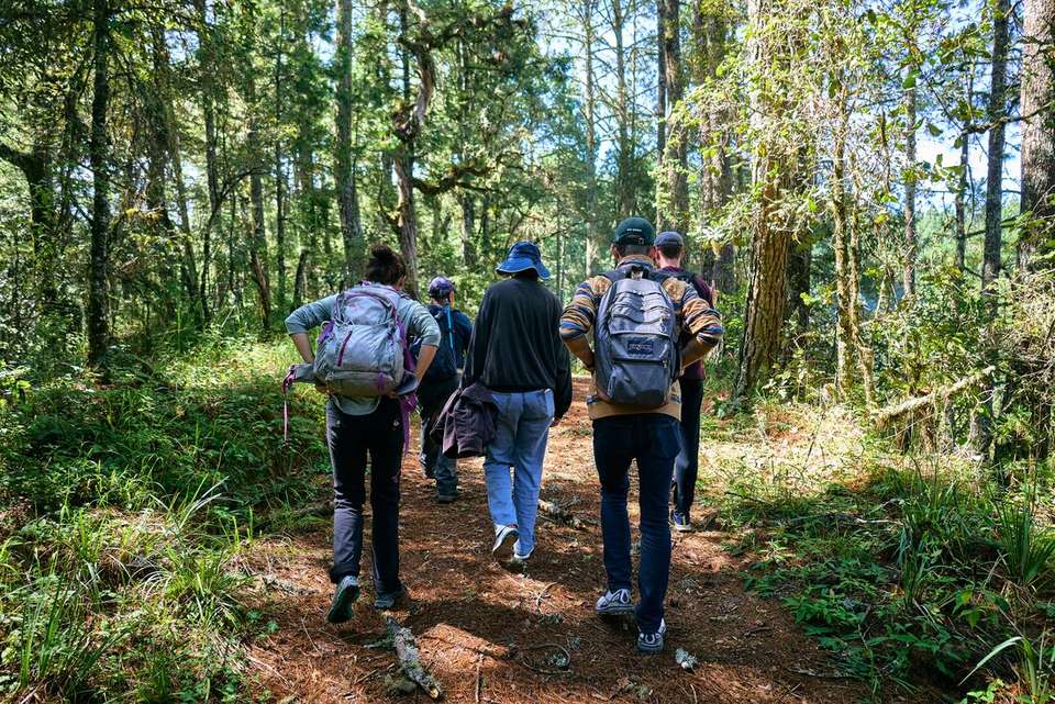 Hiking in Mexico: Oaxaca’s Indigenous Highlands - Intrepid Travel - Mexico - Image 12