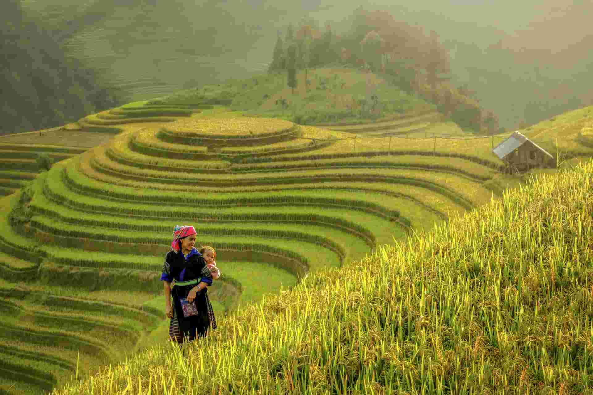 Hiking in Northern Vietnam