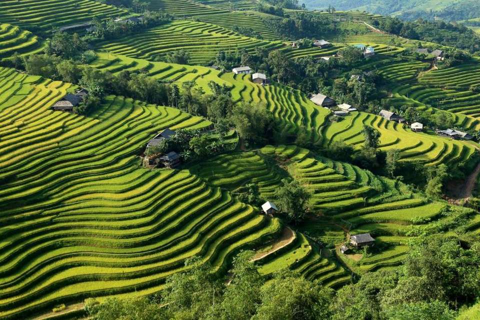 Hiking in Northern Vietnam - Exodus Adventure Travels - Vietnam - Image 19