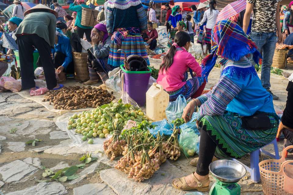 Hiking in Northern Vietnam - Exodus Adventure Travels - Vietnam - Image 11