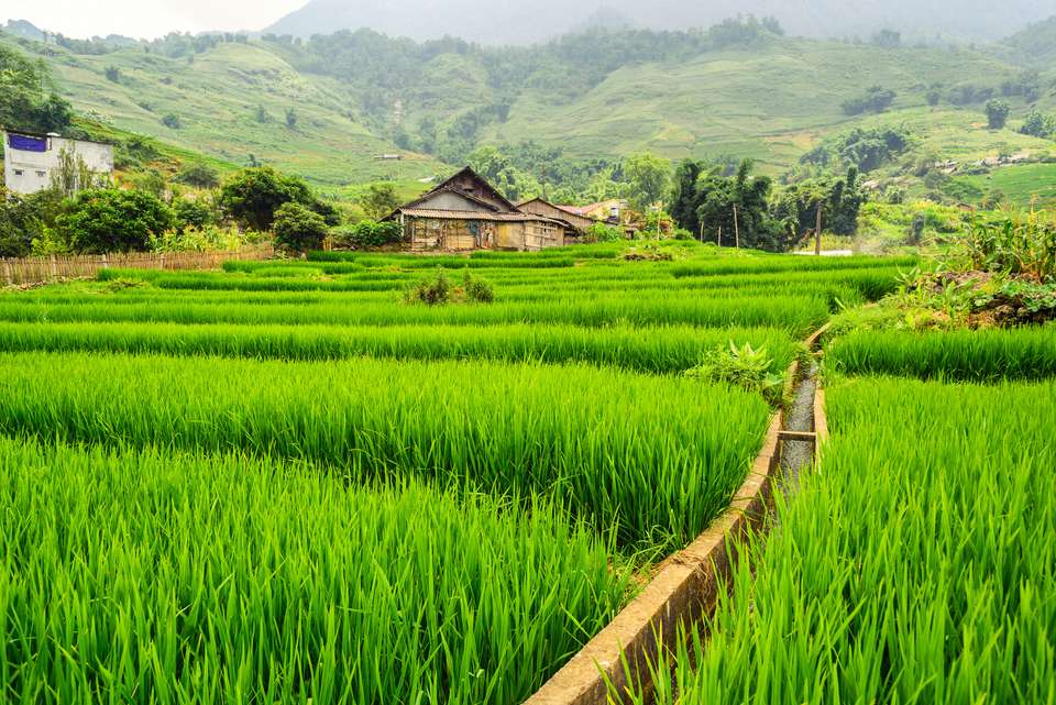 Hiking in Northern Vietnam - Exodus Adventure Travels - Vietnam - Image 6
