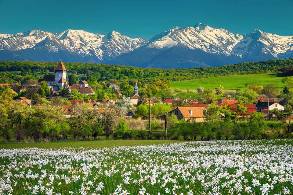 Hiking in Romania: Via Transilvanica Trail - Intrepid Travel - Romania - Image 18