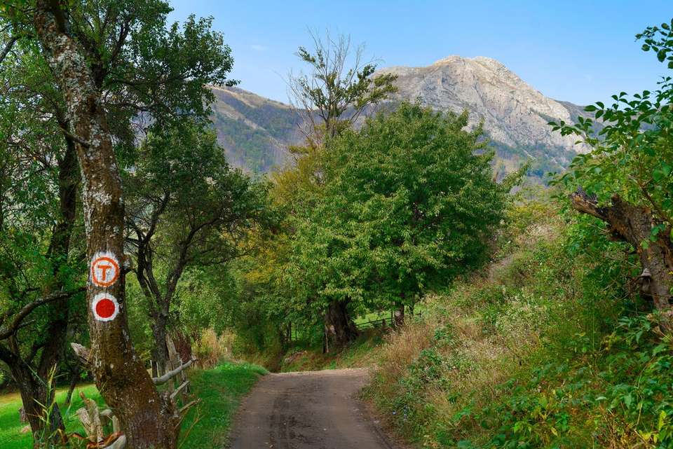 Hiking in Romania: Via Transilvanica Trail - Intrepid Travel - Romania - Image 17