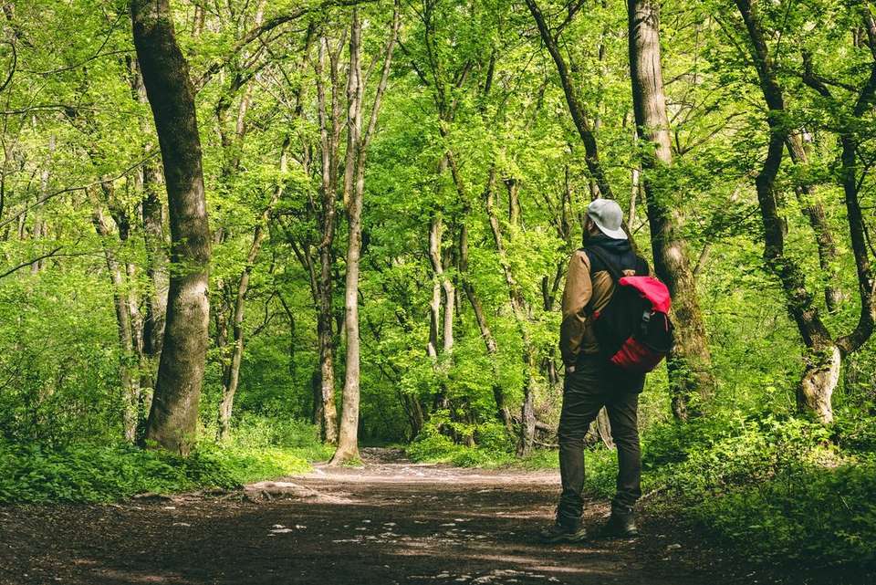 Hiking in Romania: Via Transilvanica Trail - Intrepid Travel - Romania - Image 11