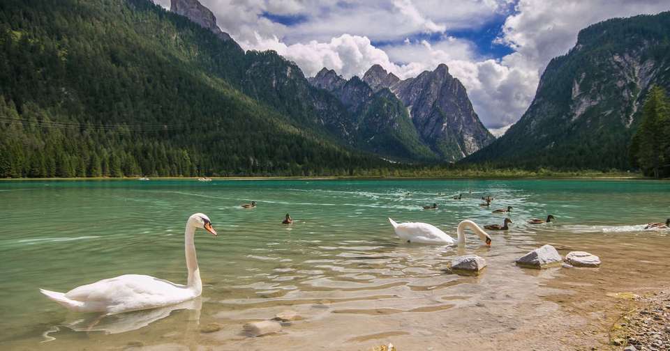 Hiking in the Dolomites - Explore - Italy - Image 2